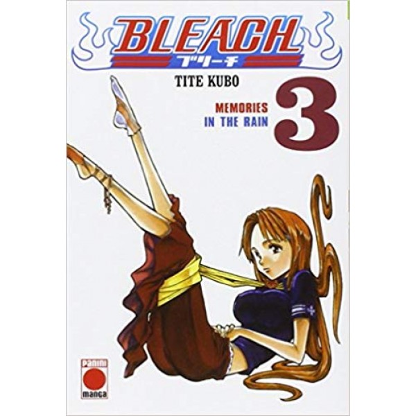 Bleach Nº 3 / Manga