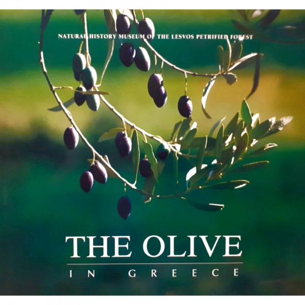 The Olive in Greece